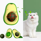Gato lambendo o abacate de catnip