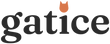 Gatice - Início